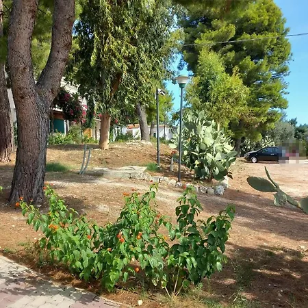 Apartamento Beautiful In With Wifi